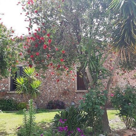 Agriturismo Pingitore Luzzi Exterior photo